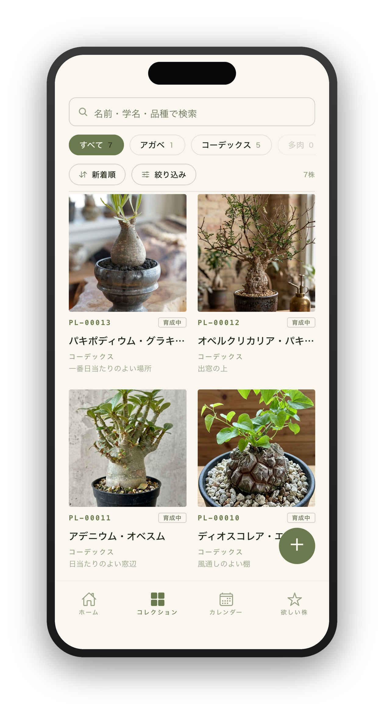 コレクション画面