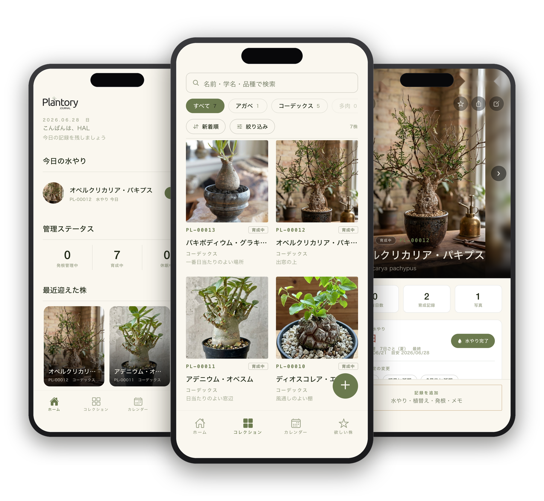 Plantory アプリ画面